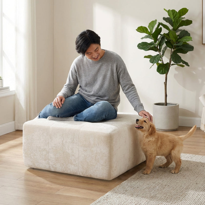 Boneless Modular Sectional Couch in a Box with Ottoman | Oak & Birch